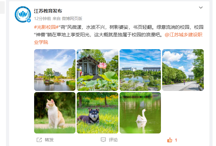 江蘇教育發(fā)布微博：“荷”風(fēng)微漾，水波不興，樹影婆娑，書頁輕翻。